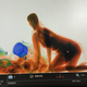 Screengrab via Pear Video.